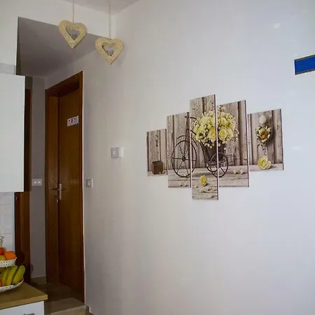 Donna Laudonia アルタムラ